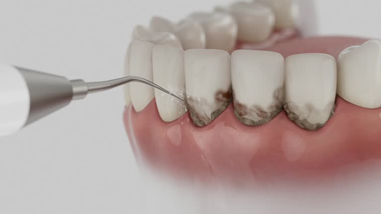 Reliable Dental contractor in Garner, NC by Dentist Open Now